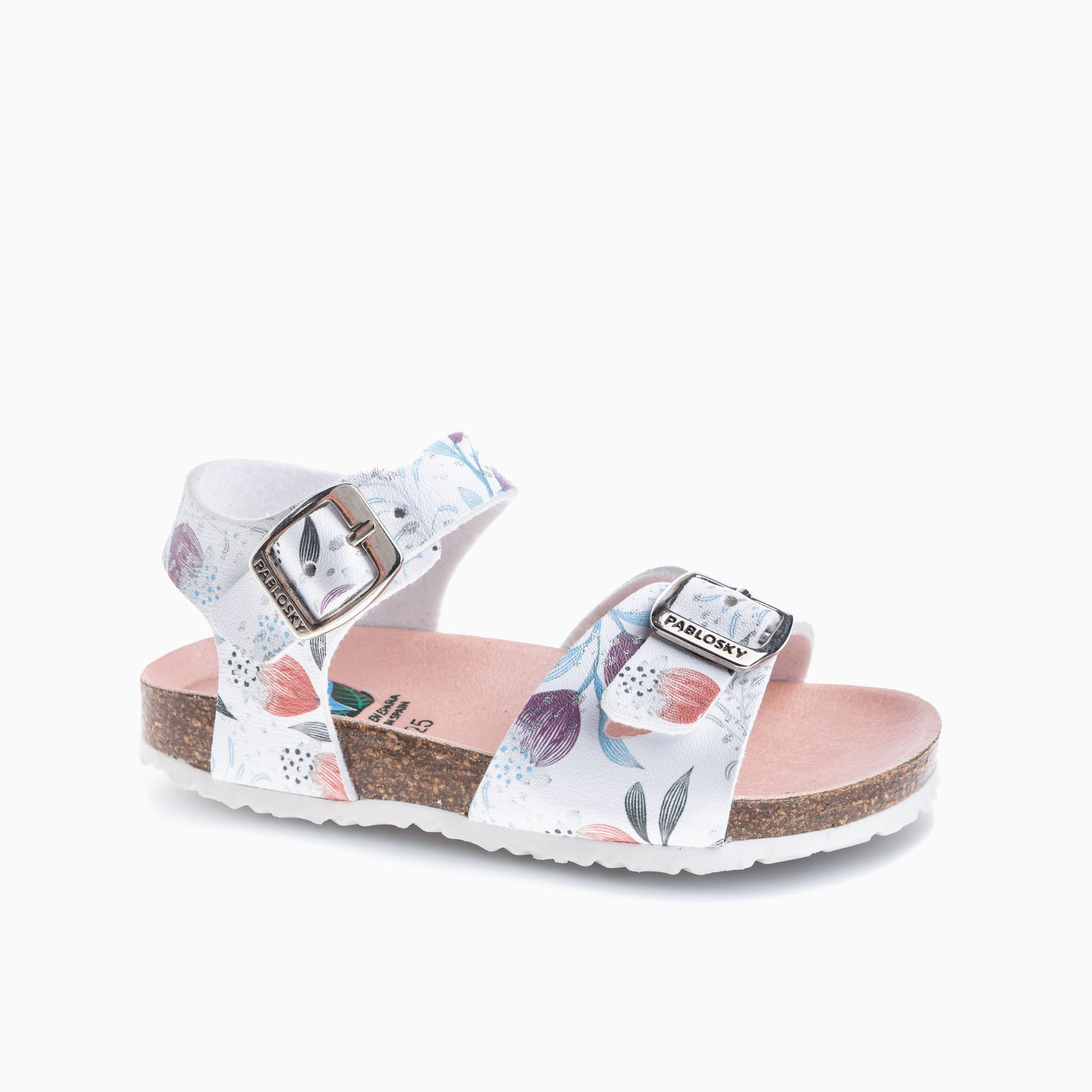 BIO 428500
