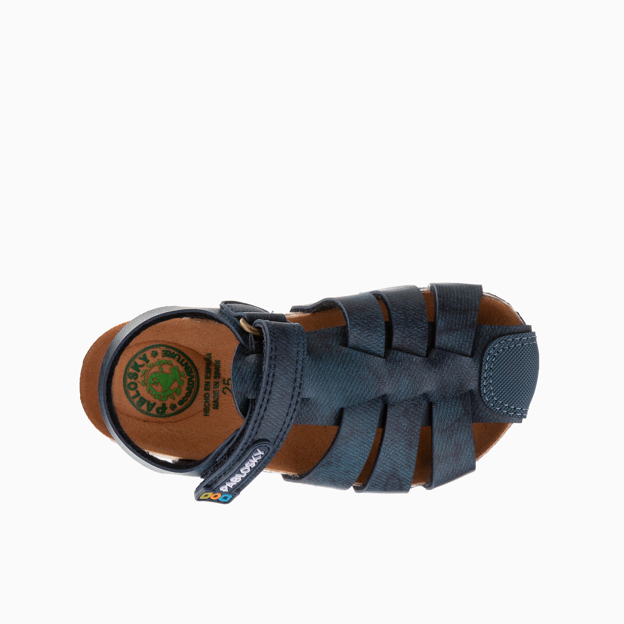 BIO 517123