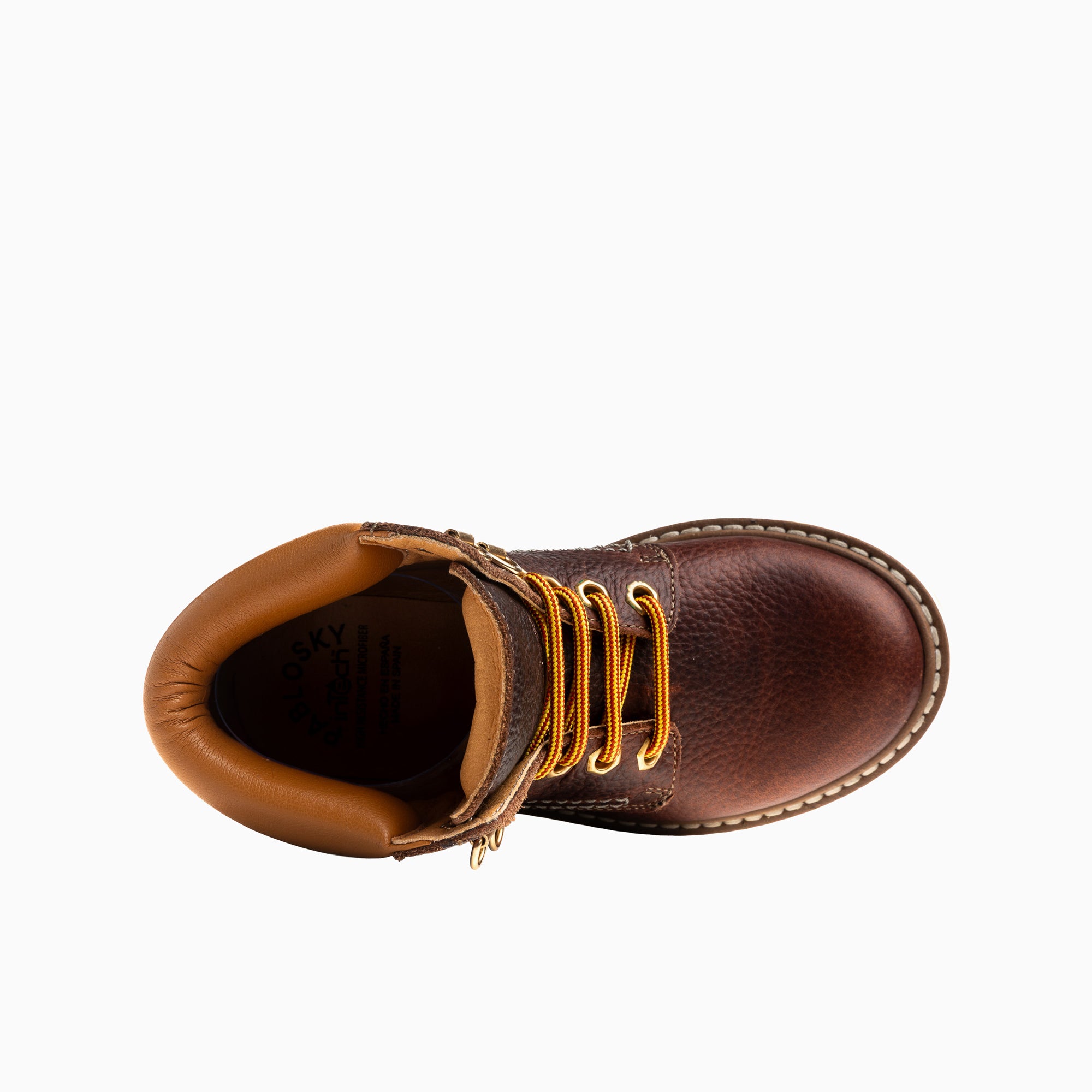 HARRY 524170