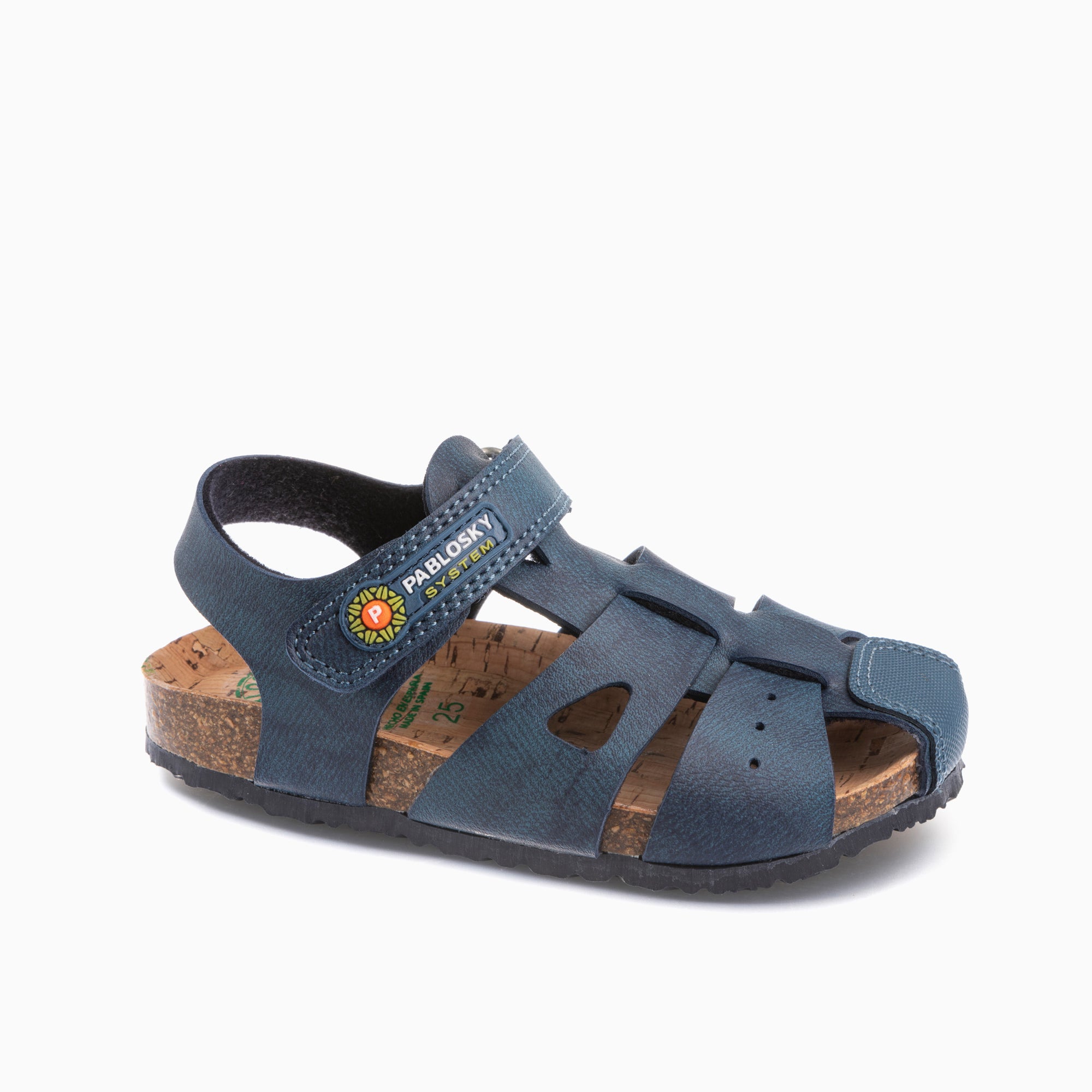 BIO 509020