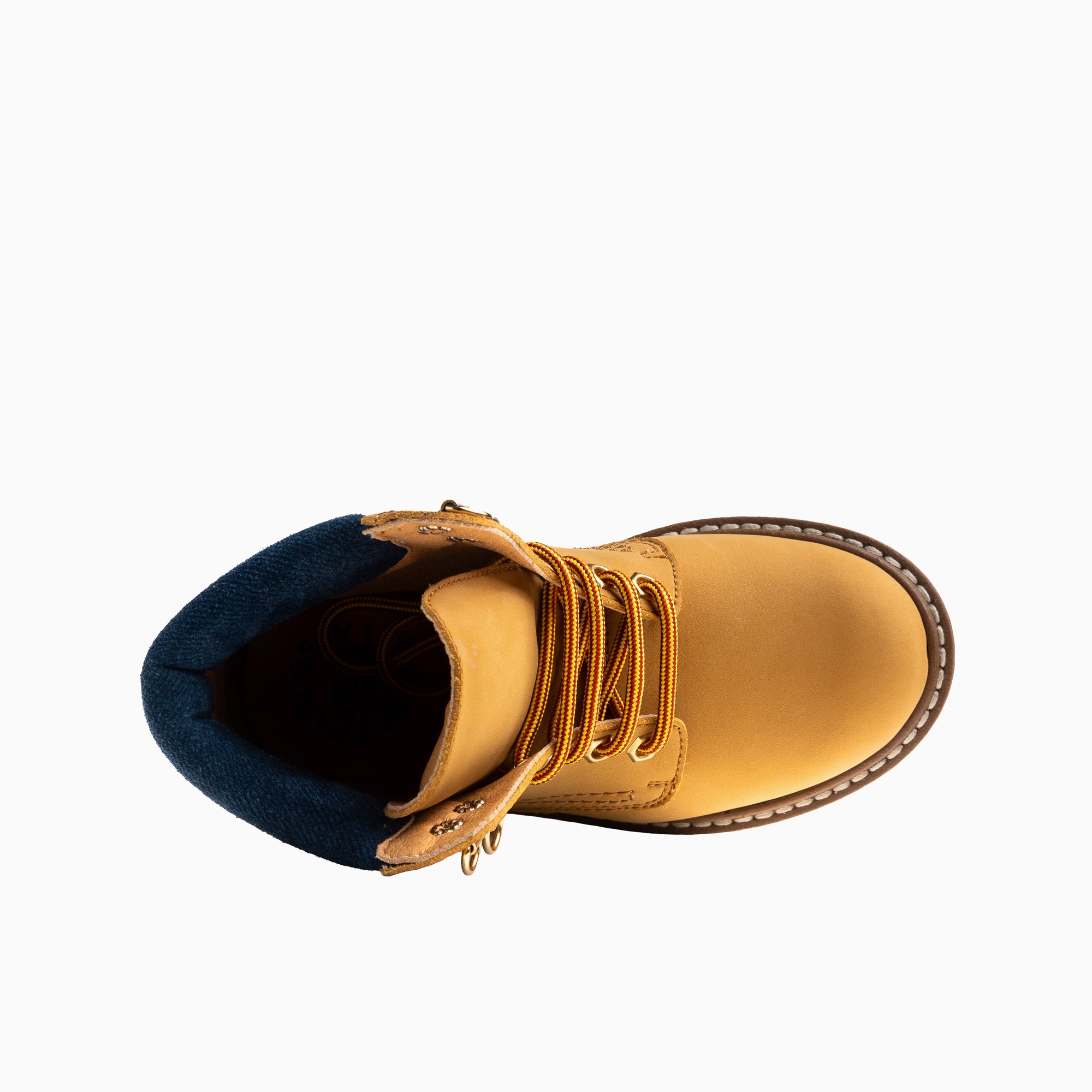 HARRY 524084